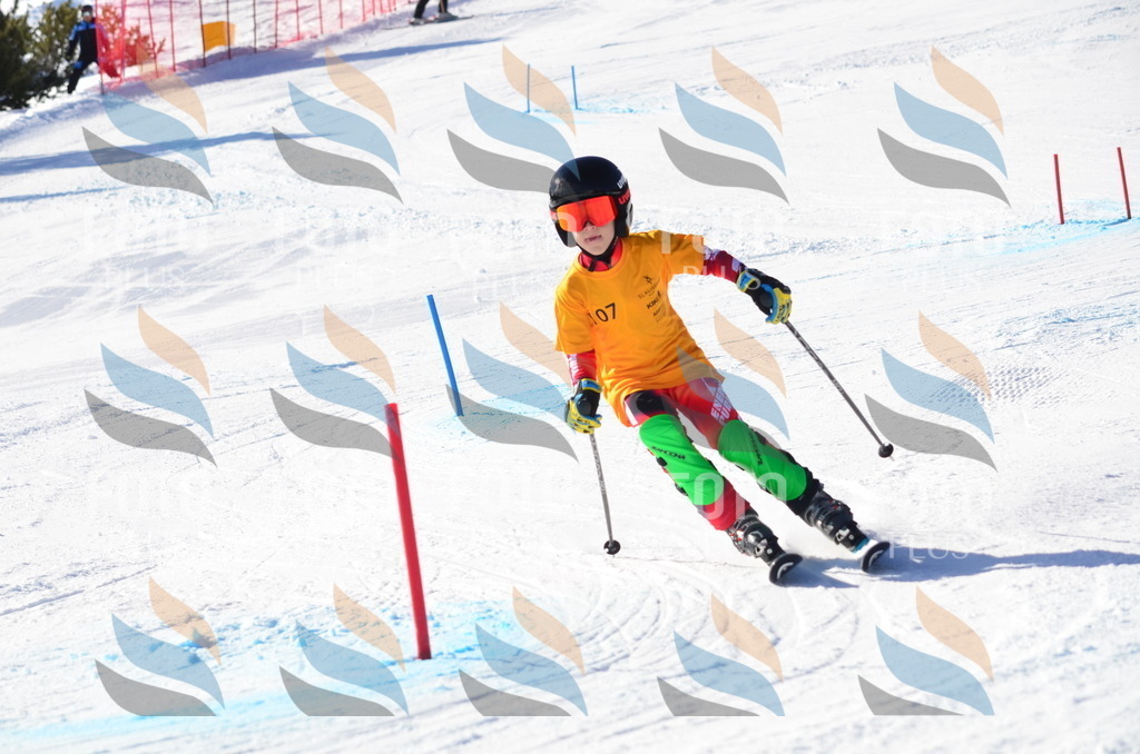 C6251 | holidayphoto