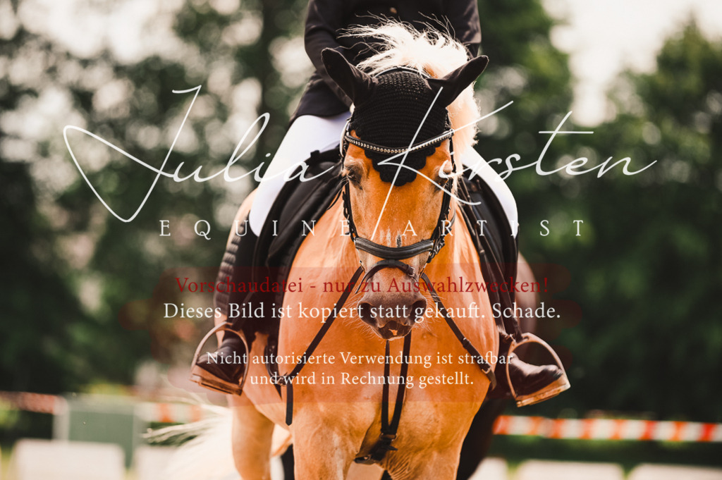 DSC_6321 | Pferde- und Turnierfotografie in Westsachsen. Pferdeportraits, Auftragszeichnungen und intuitive Kunst.