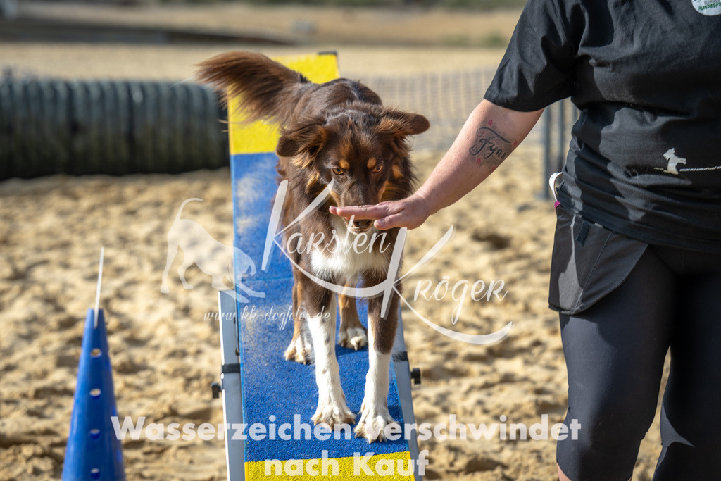 1552_ZZ92427 | kk-dogfotos