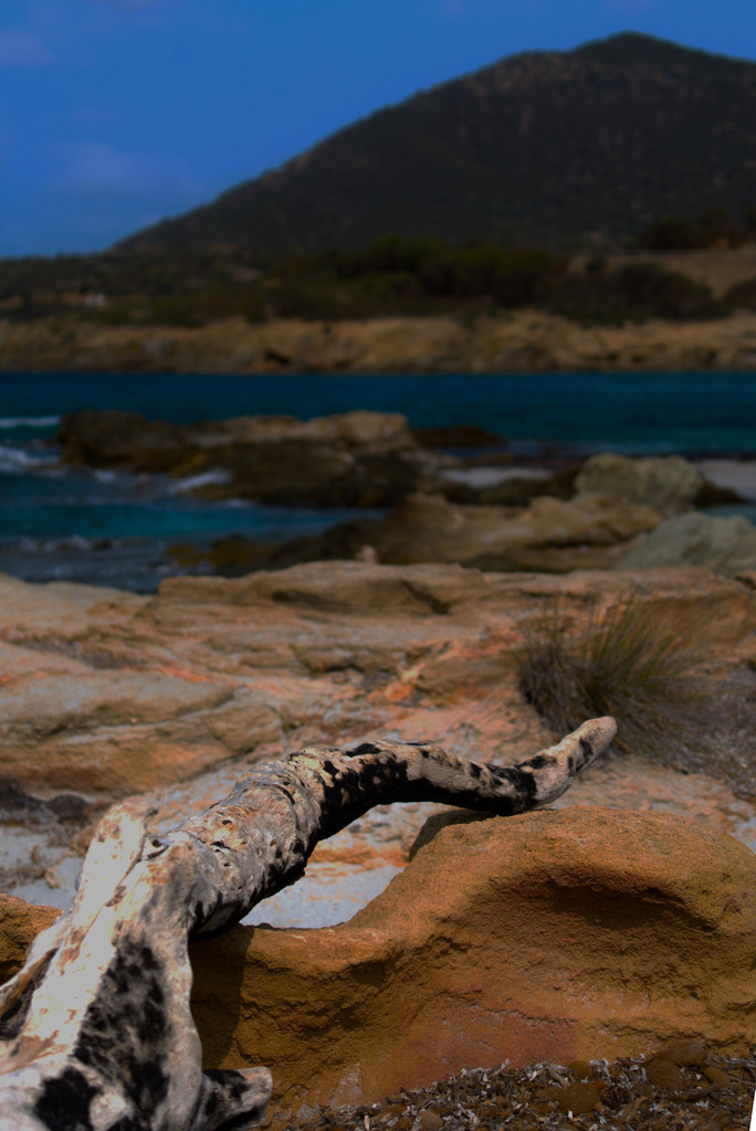 DSC00882 | fotografie33