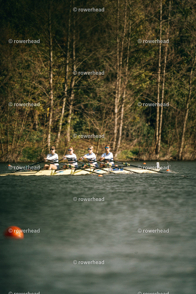 20251004_rowerhead_R012_S0351_DSC04640 | rowerhead - Realisiert mit Pictrs.com