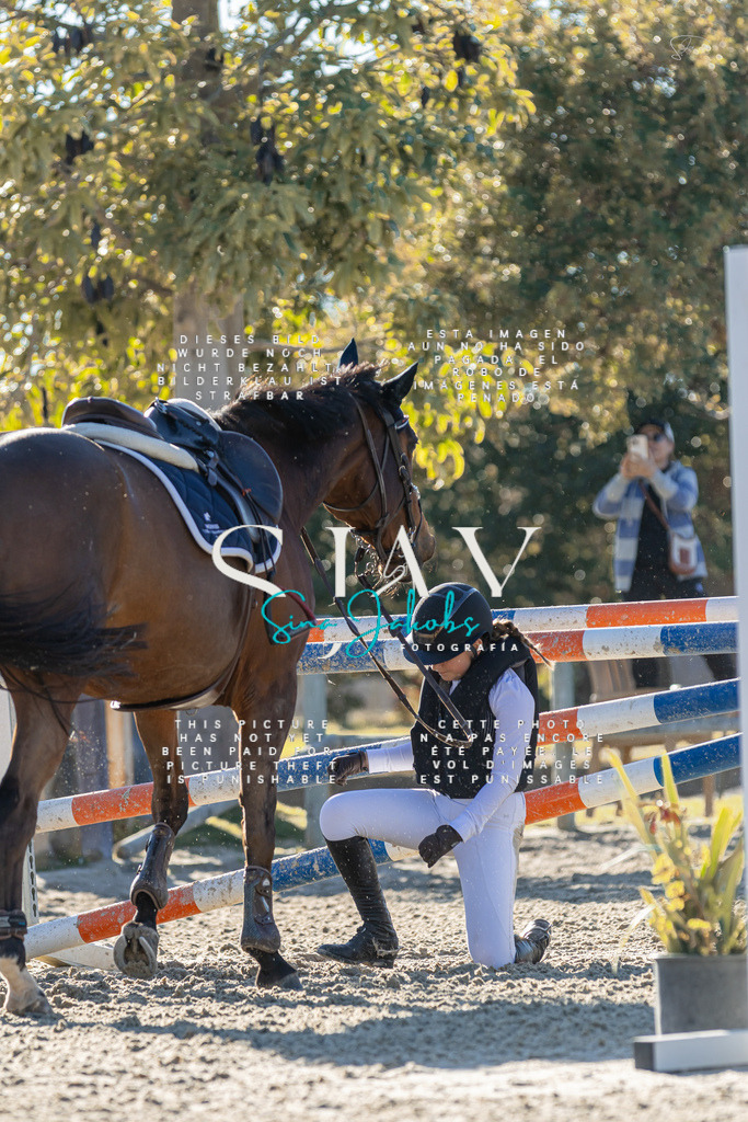 IMG_2131 | s-jay-photography - Realisiert mit Pictrs.com