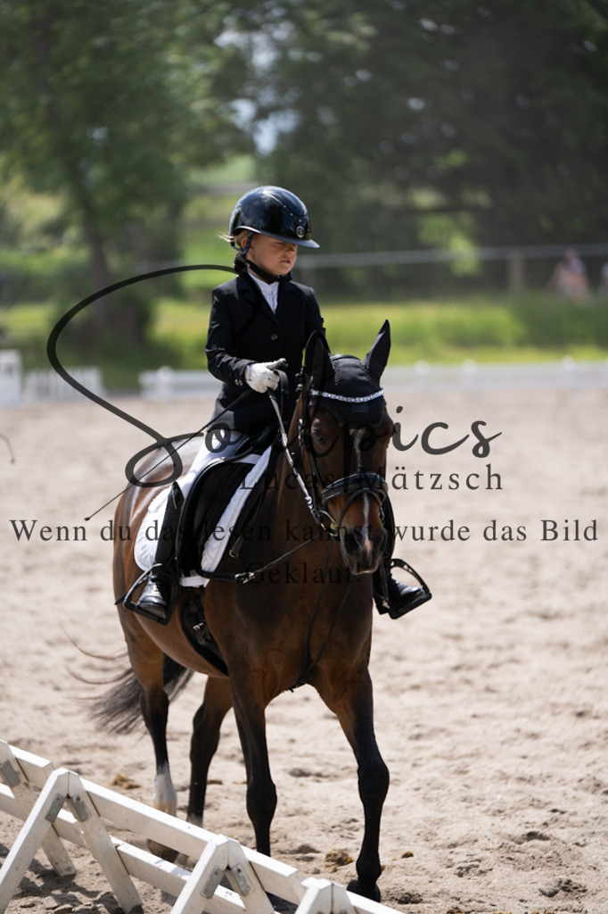 A7V02928 | Pferdefotograf