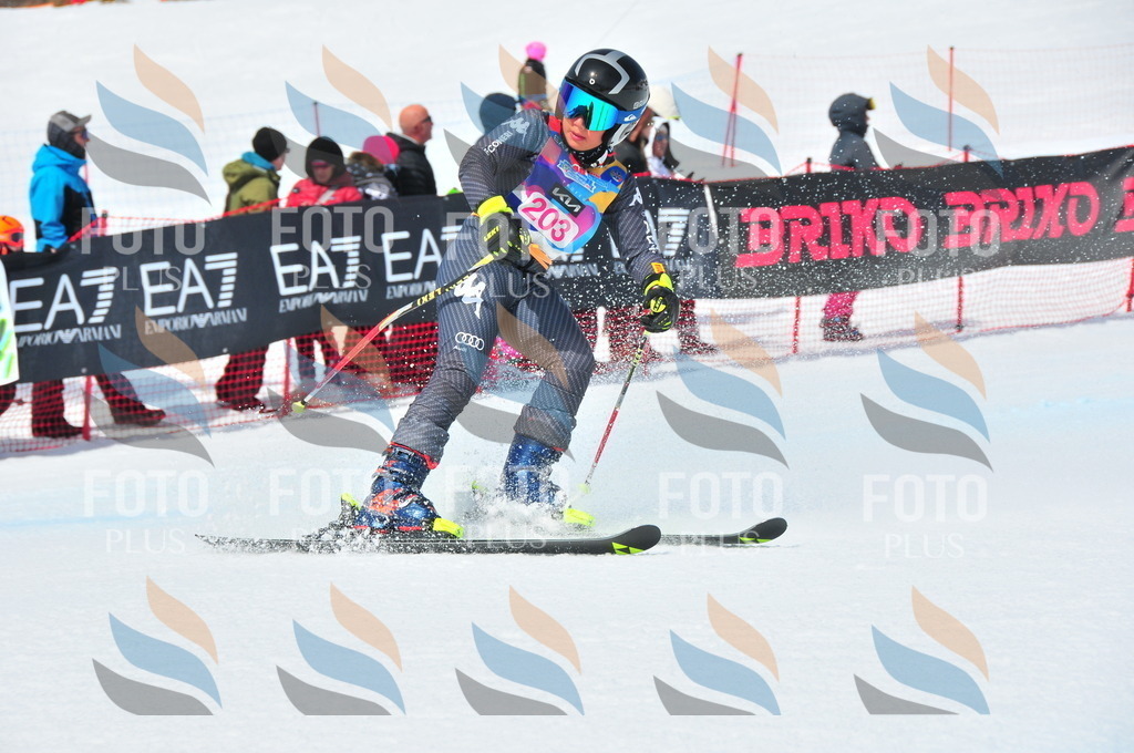 DSC_5595 | holidayphoto