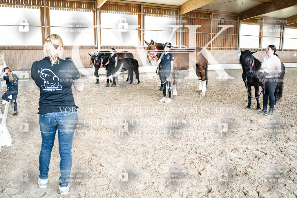 CK703298 | Turnierfotografie Pferdefotografie Trier Rheinland-Pfalz Pferdesport Reitsport Tierfotografie Sportfotografie Pferdevideo Pferdevideografie Equestrianvideography equestrianphotography  - Realisiert mit Pictrs.com