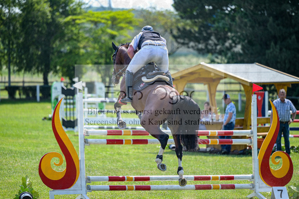 Reitturnier Voxtrup | Entdecke hochwertige Reitturnierfotos von Foto Oger. Professionell, emotional und authentisch – jetzt Lieblingsmomente im Shop bestellen.Deutschlandweite Turnierfotografie. - Realisiert mit Pictrs.com
