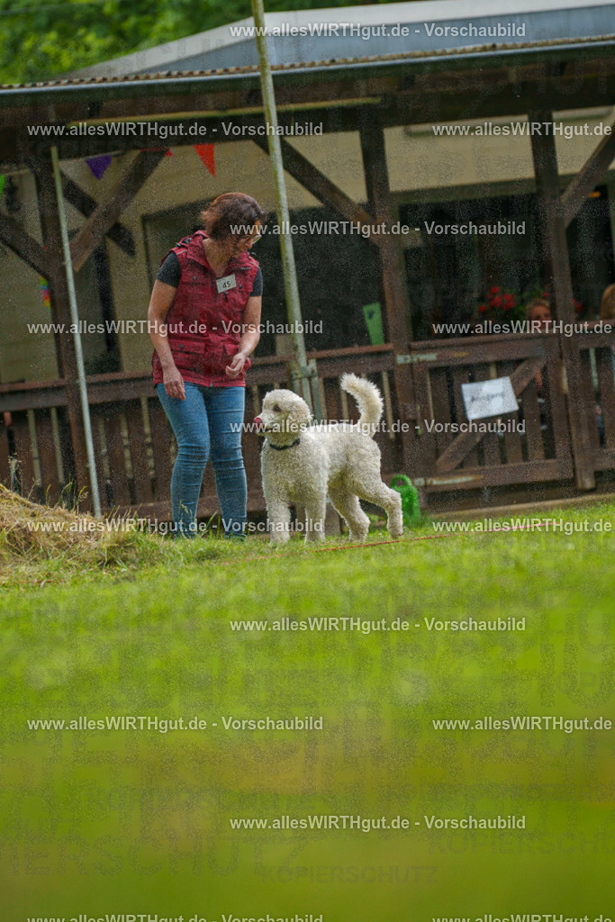 @allesWIRTHgut_Tierfotografie - www.allesWIRTHgut.de - 7R505275 | Professionelle Tierfotografie in Mönchengladbach von Daniel Wirth (allesWIRTHgut). Liebevolle & natürliche Bilder von Hunden & Katzen für unvergessliche Erinnerungen.