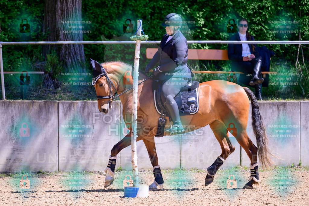 01052026-Giesenbach-02-Stiltrail-0264 | Fokus Hufschlag Fotografie - Realisiert mit Pictrs.com