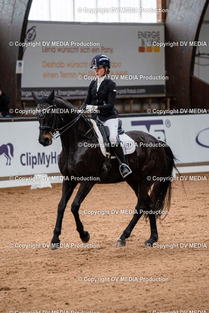 Kranichstein Tag 1-397 | dv-media-shop - Realisiert mit Pictrs.com