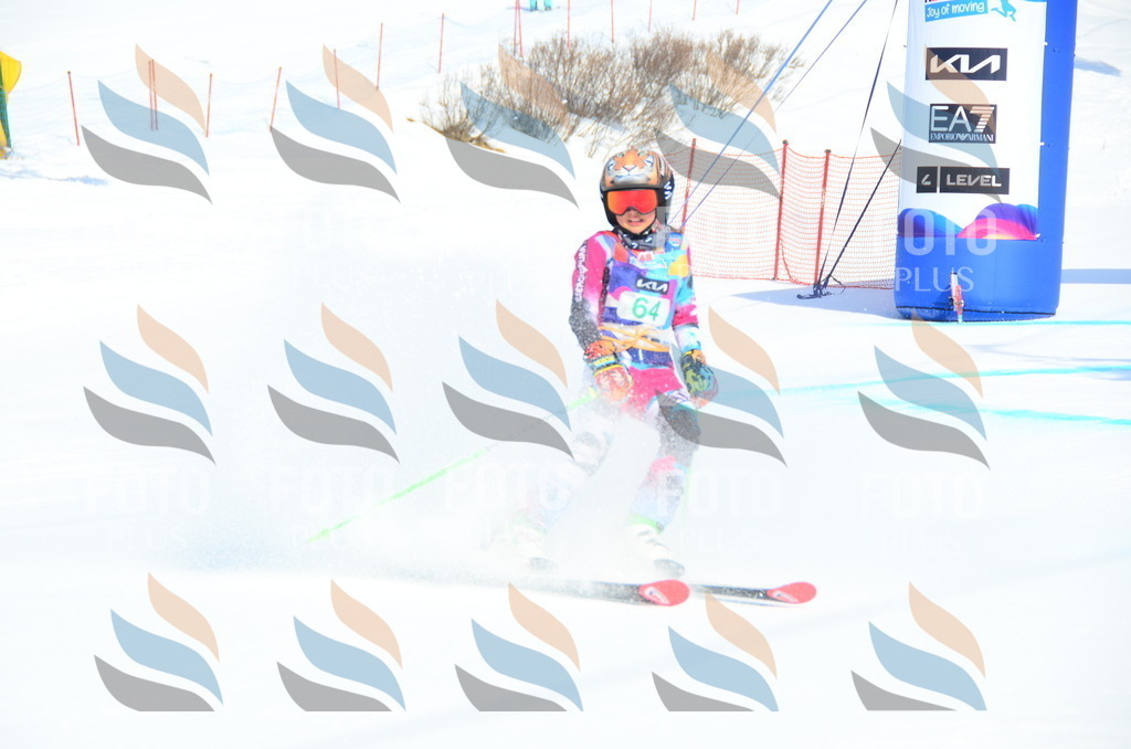 DSC_0352 | holidayphoto