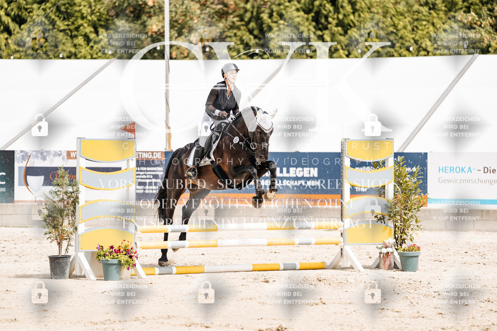 CK906649 | Turnierfotografie Pferdefotografie Trier Rheinland-Pfalz Pferdesport Reitsport Tierfotografie Sportfotografie Pferdevideo Pferdevideografie Equestrianvideography equestrianphotography  - Realisiert mit Pictrs.com