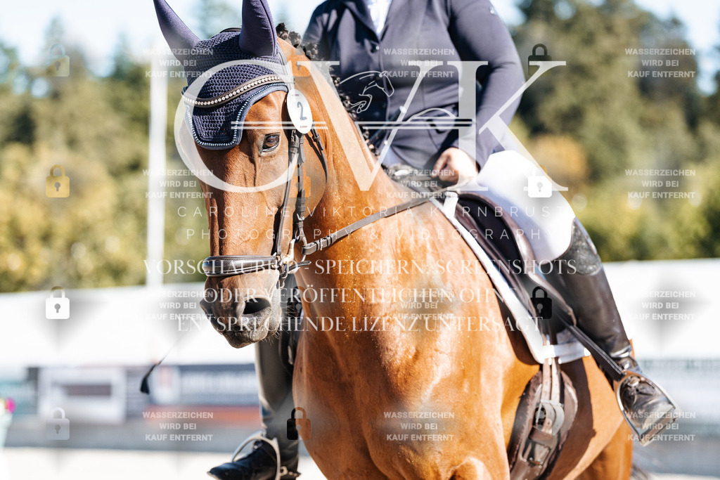 CK908024 | Turnierfotografie Pferdefotografie Trier Rheinland-Pfalz Pferdesport Reitsport Tierfotografie Sportfotografie Pferdevideo Pferdevideografie Equestrianvideography equestrianphotography  - Realisiert mit Pictrs.com