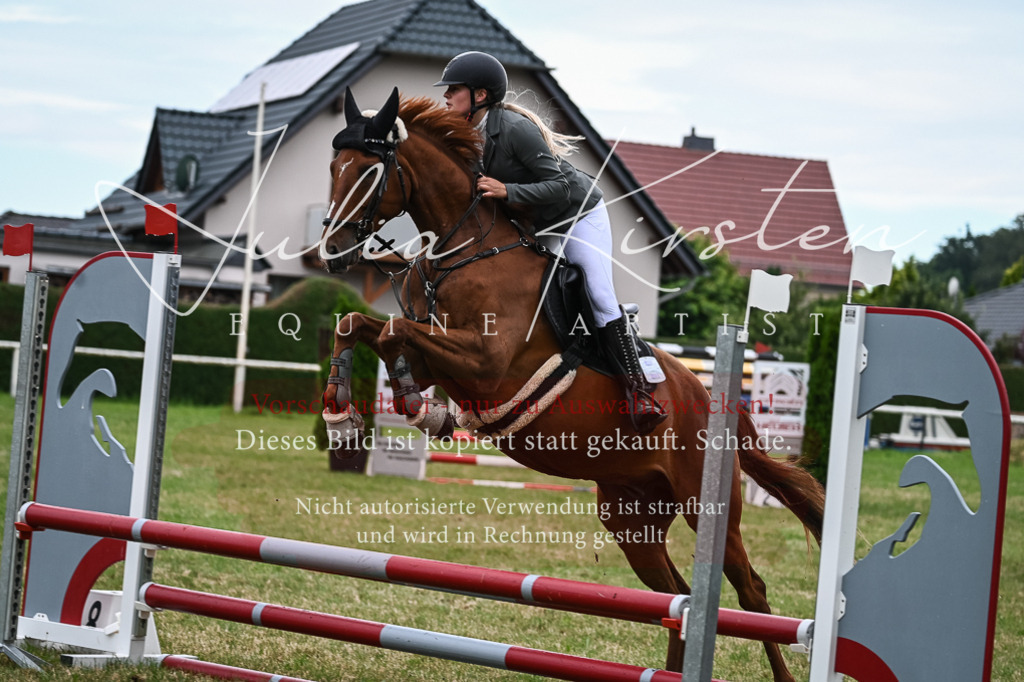 DSC_8456 | Pferde- und Turnierfotografie in Westsachsen. Pferdeportraits, Auftragszeichnungen und intuitive Kunst.