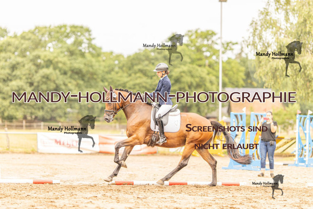 26-8-7 RC H RPF-402 | mandyhollmannphotographie