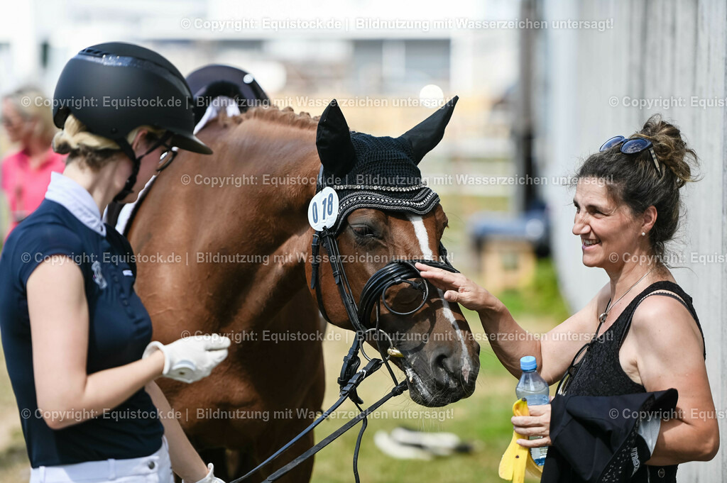 20230715_07_Dressurpferdeprfg. Kl.L_0195 | equistock