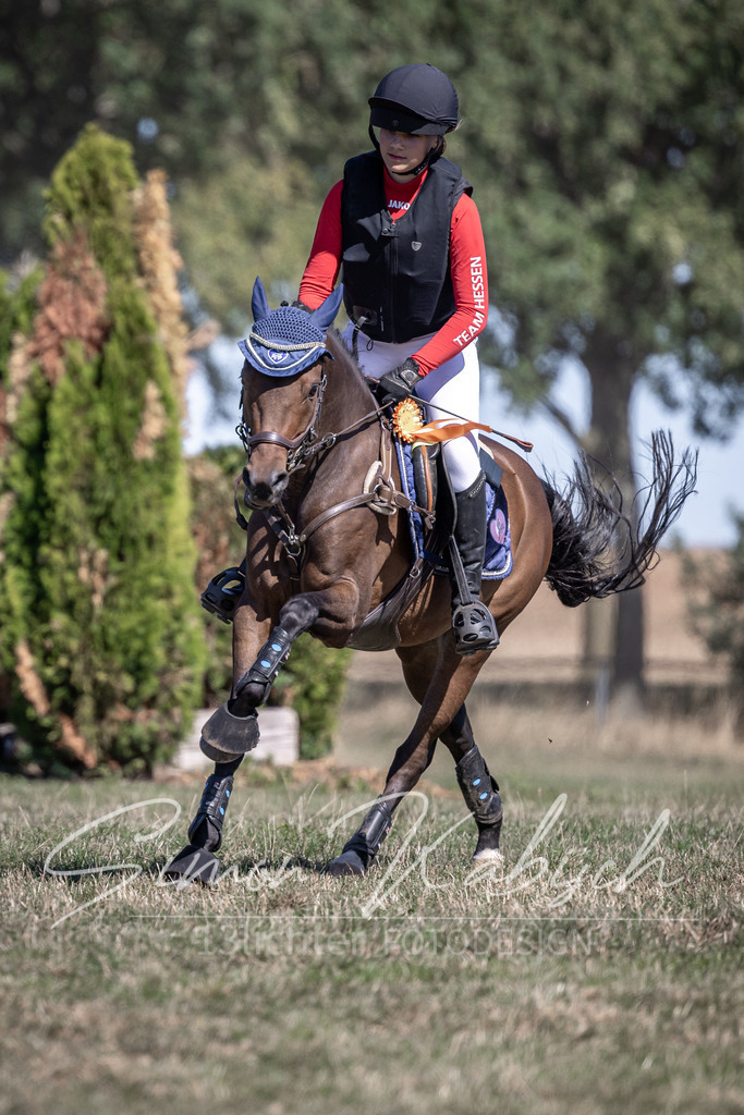 20260906-_3LI4668 | Tierfotografie Pferde, Hunde, Katzen, Haustiere.
Turnierfotografie Reitturniere, Reiten, Springreiten, Dressur in Hanau, dem Main-Kinzig-Kreis und dem Rhein-Main- Gebiet um Frankfurt