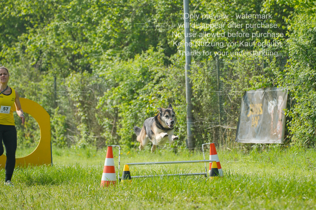 Sa_SprintVK_Gr1_03-52 | stephaniefillaphotographie - Realisiert mit Pictrs.com