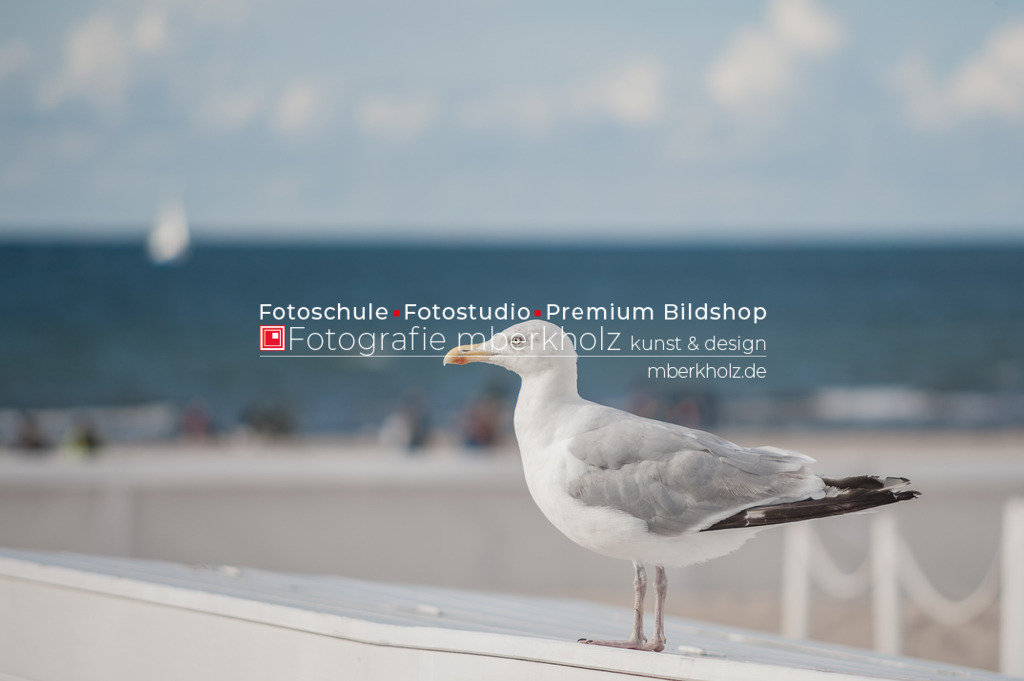 _MBE5155 | Bildkunst Warnemünde, Fotokunst Warnemünde, Fotostudio Rostock Warnemünde, Technologiecampus, Onlinedruckerei, Fotokunst Warnemünde, Ostseebad Warnemünde 