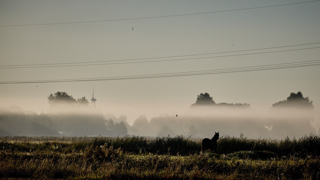 Im Nebel | kleinen-fotografie