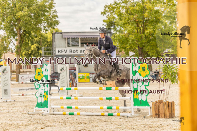 26-7-23 SPR A++-126 | mandyhollmannphotographie