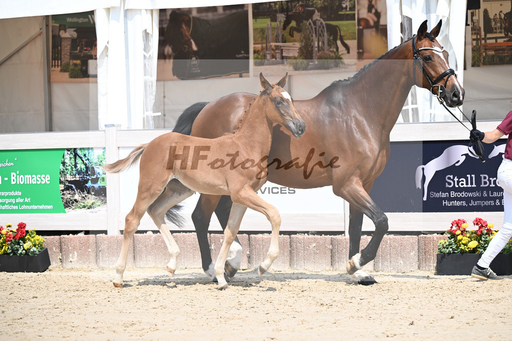 Arezzo Man x Celentano_HF_Moldvai_12250437 | hf-fotografie - Realizzato con Pictrs.com