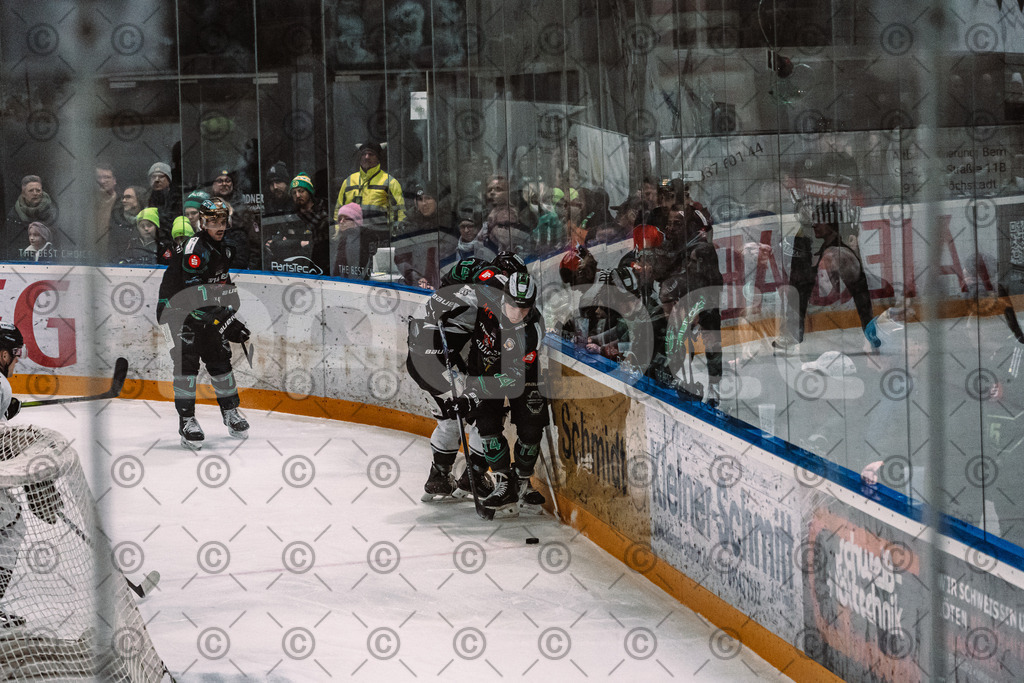 Alligators_vs_Passau_26_12_2025-080 | Höchstadt Alligators Fotogalerie: Eishockey-Action aus Franken. Professionelle Spielfotos, Portraits & Stadionbilder zum Download. Jetzt entdecken! - Realisiert mit Pictrs.com