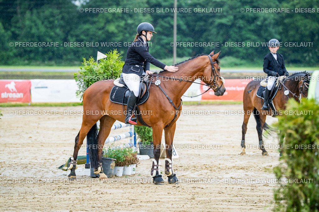 DSC01452 | Pferdegrafie