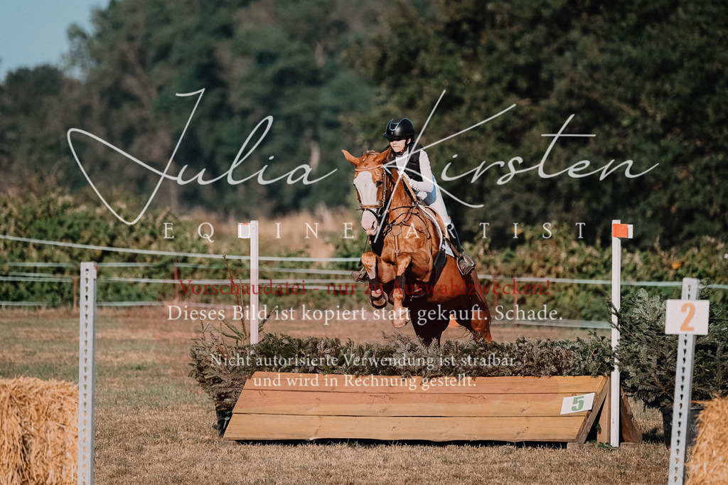DSC_9135-2 | Pferde- und Turnierfotografie in Westsachsen. Pferdeportraits, Auftragszeichnungen und intuitive Kunst.