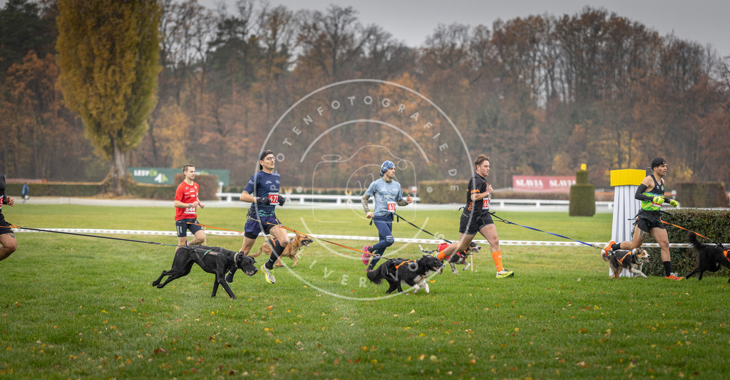 CaniXpix_DV3A9516 | Hundefotografie, Tierfotograf, Pfotenfotografie, Fotoshooting Hund, Hunde Portrait, Hundesport, Hundeportraits, Heideshooting, Hunde, Sportfotograf, Hundefotograf, Turnierhundsport, THS,  - Realisiert mit Pictrs.com