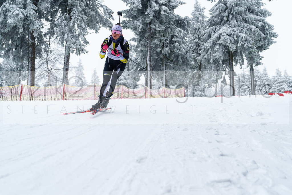 DP Oberwiesenthal | Alpencup/DP Deutschlandpokal in Oberwiesenthal am 15.-17.12.2023
