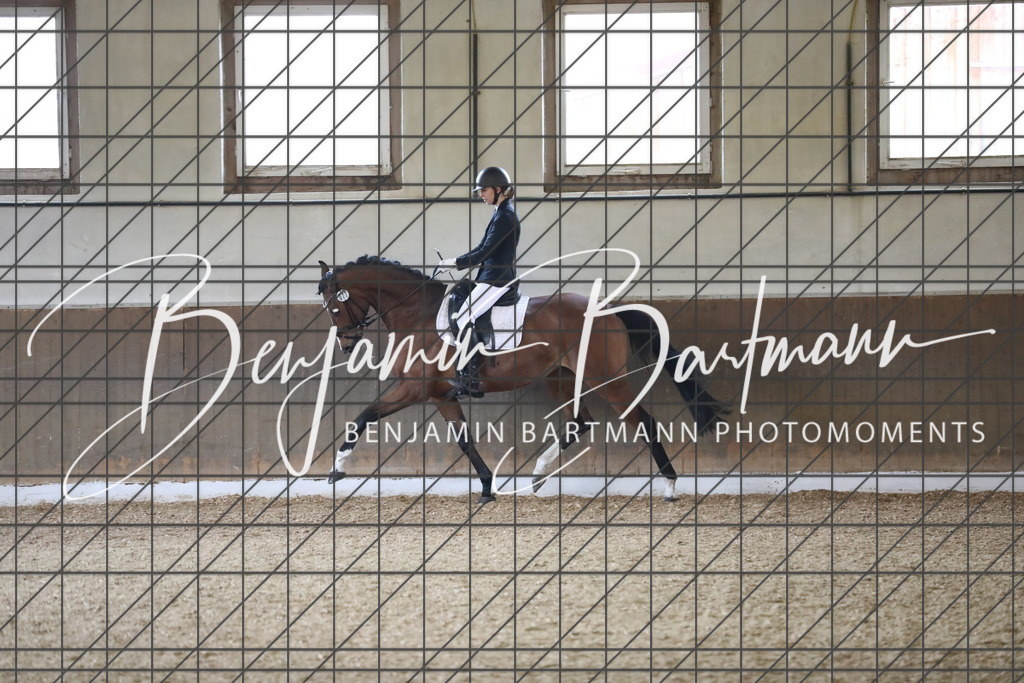 AZ2A0277 | Benjamin Bartmann Photomoments