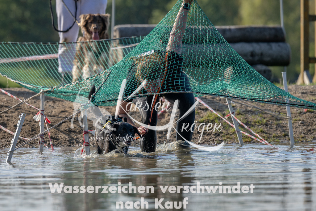 1404_ZZ91577 | kk-dogfotos