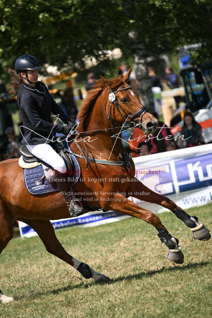 DSC_0351 | Pferde- und Turnierfotografie in Westsachsen. Pferdeportraits, Auftragszeichnungen und intuitive Kunst.