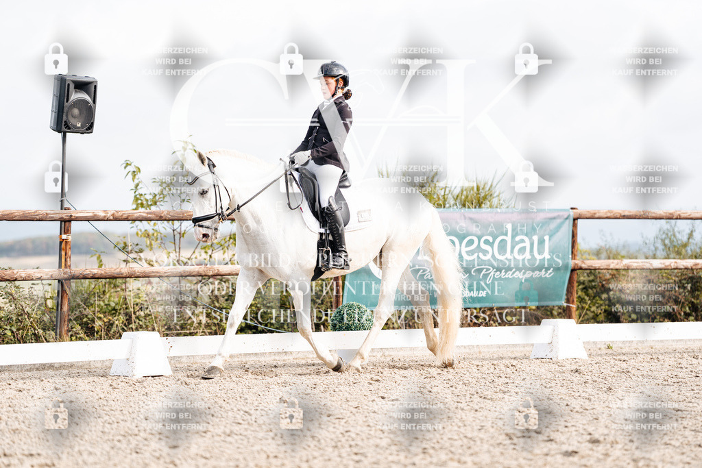 CK901285 | Turnierfotografie Pferdefotografie Trier Rheinland-Pfalz Pferdesport Reitsport Tierfotografie Sportfotografie Pferdevideo Pferdevideografie Equestrianvideography equestrianphotography  - Realisiert mit Pictrs.com