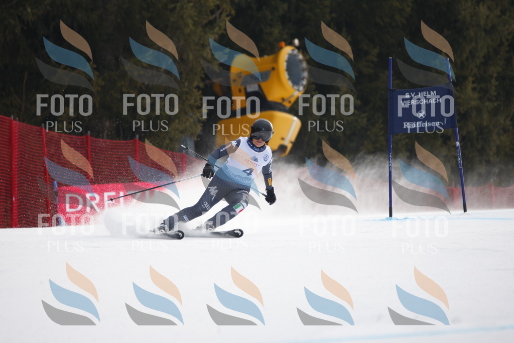 D4605 | holidayphoto