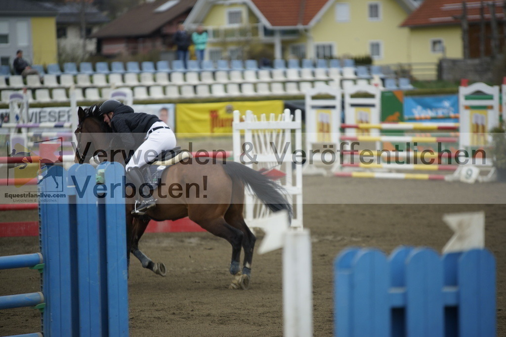 _DSC7128 | equestrian-live-com