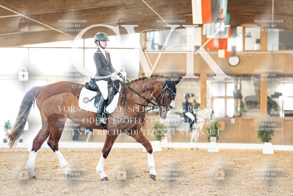 CK906703 | Turnierfotografie Pferdefotografie Trier Rheinland-Pfalz Pferdesport Reitsport Tierfotografie Sportfotografie Pferdevideo Pferdevideografie Equestrianvideography equestrianphotography  - Realisiert mit Pictrs.com