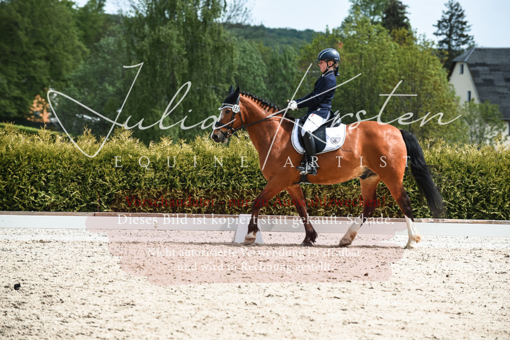 20230518_JK-Röhrsdorf-11-0611 | Pferde- und Turnierfotografie in Westsachsen. Pferdeportraits, Auftragszeichnungen und intuitive Kunst.