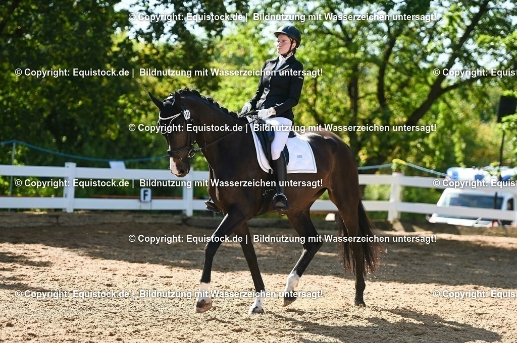 20230715_06_Dressurpferdeprfg. Kl.A_0358 | equistock
