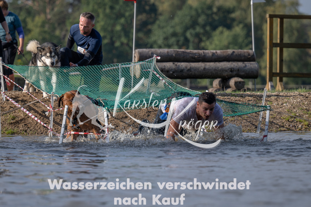 1040_ZZ94615 | kk-dogfotos