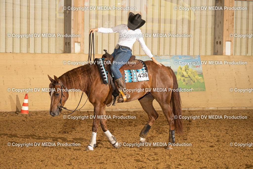 LAU00325 | dv-media-shop - Realisiert mit Pictrs.com