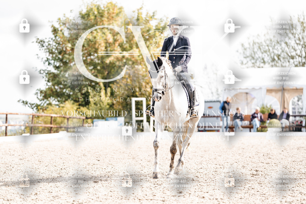 CK902000 | Turnierfotografie Pferdefotografie Trier Rheinland-Pfalz Pferdesport Reitsport Tierfotografie Sportfotografie Pferdevideo Pferdevideografie Equestrianvideography equestrianphotography  - Realisiert mit Pictrs.com