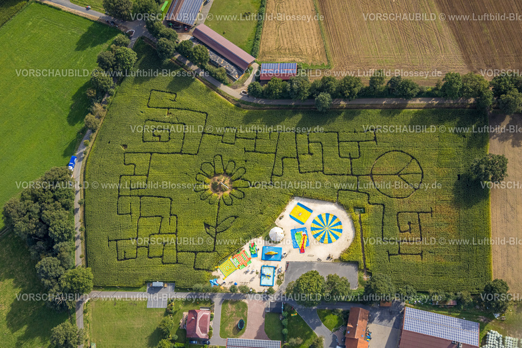 Haltern230905963 | Luftbild, Maislabyrinth Terhardt und Vergnügungspark, Sonnenblume im Feld, Lippramsdorf, Haltern am See, Ruhrgebiet Münsterland, Nordrhein-Westfalen, Deutschland