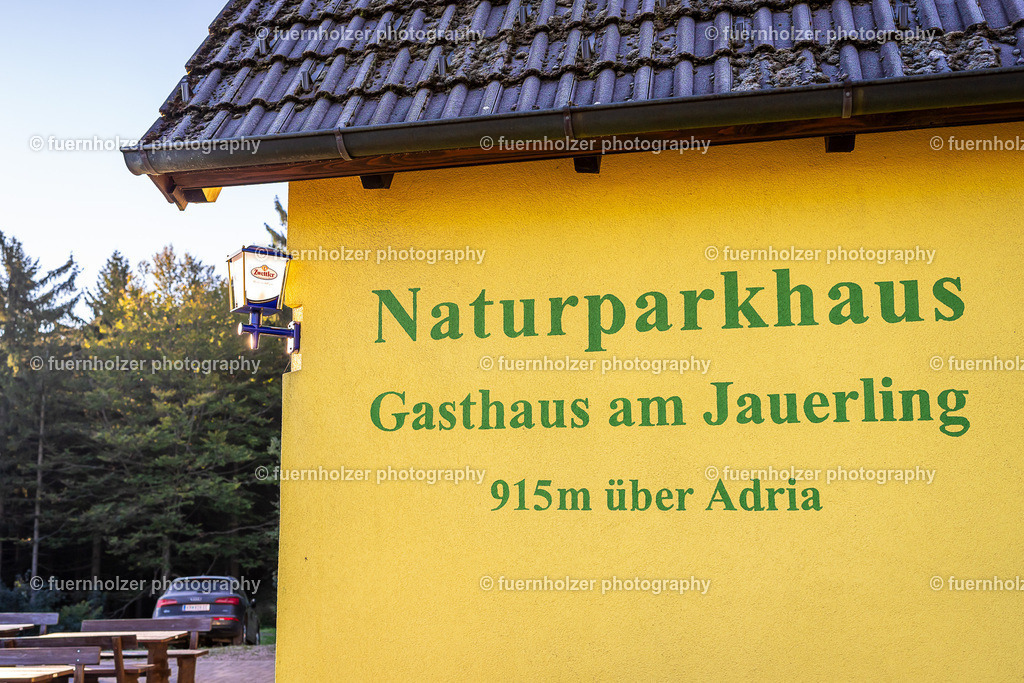 fuernholzer_251004-C3-144 | © Christian Fuernholzer | fuernholzer photography