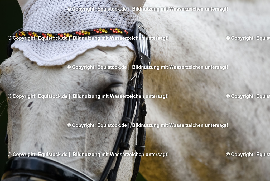 20250608_CVI-Masterclass_0291 | Foto: Thomas Hartig