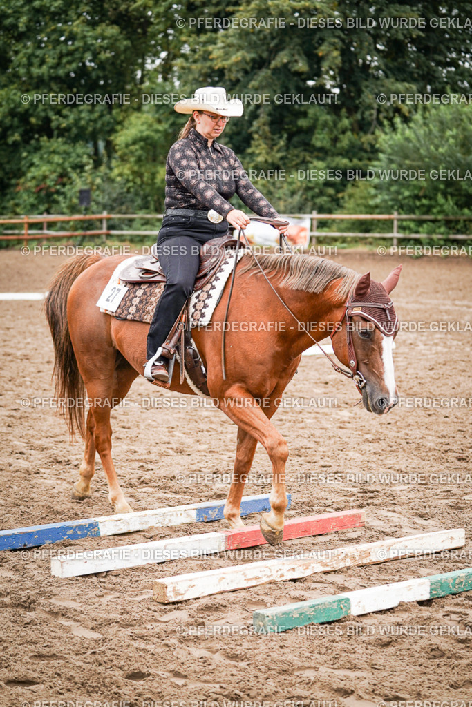 DSC03047 | Pferdegrafie