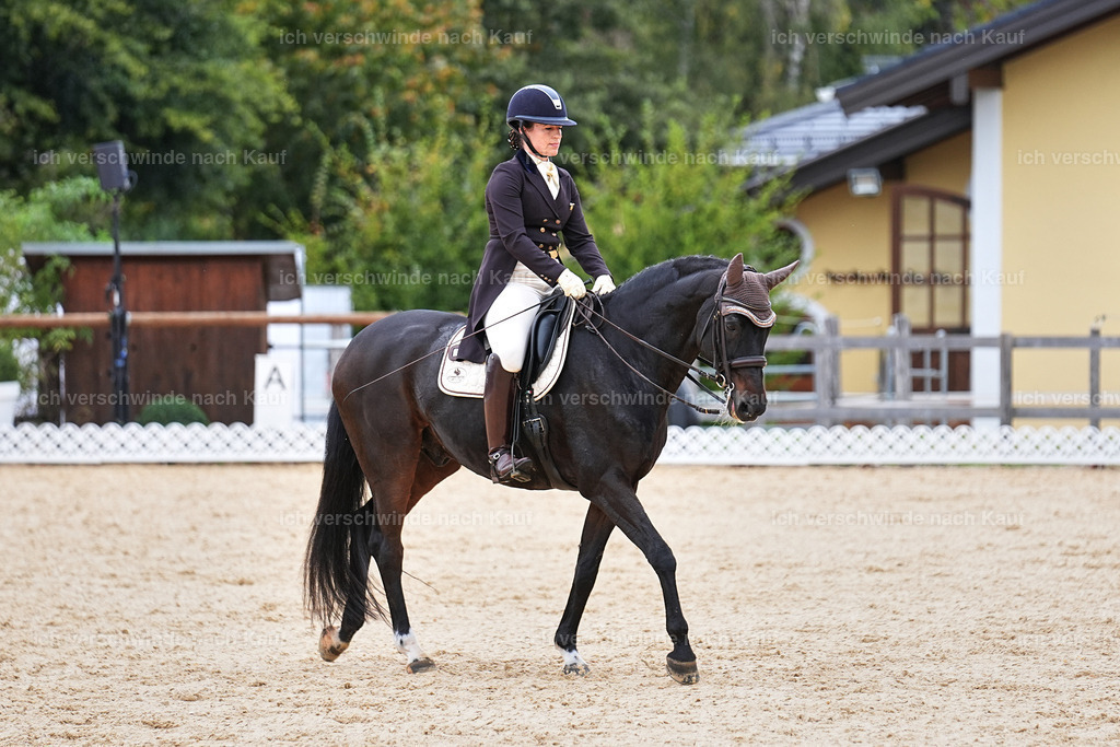 11-191-Dressur S___-Marixx-1798 | working equitationturnier fotograf videograf stoibphotography marixx film working equitation deutschland reitsport turnierfotografie eventfotografie equestrian events