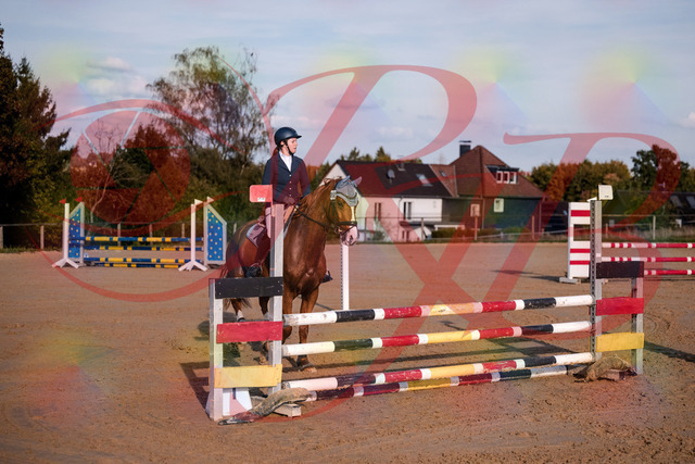 2026_10_03_Siefer-Hof_171151_Z81_08467985 | Professionelle Reitsport-, Turnier- und Eventfotografie von Robert Broda. Galerien mit ausgewählten und bearbeiteten Bildern direkt online ansehen und bestellen.