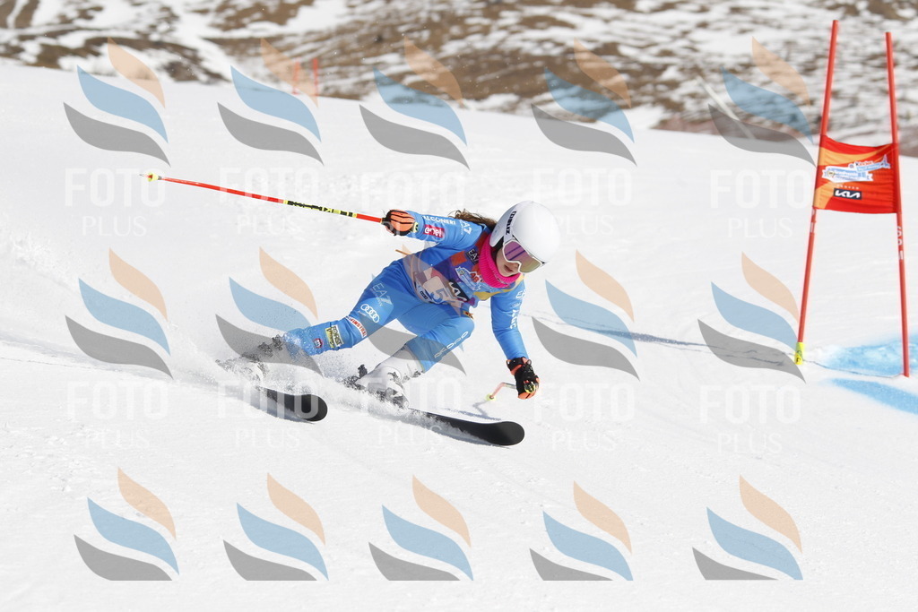 _U3G9529 | holidayphoto