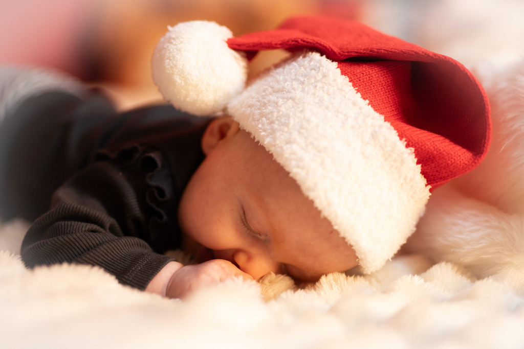 IMG_6930 | ehrlichefotos - Realisiert mit Pictrs.com